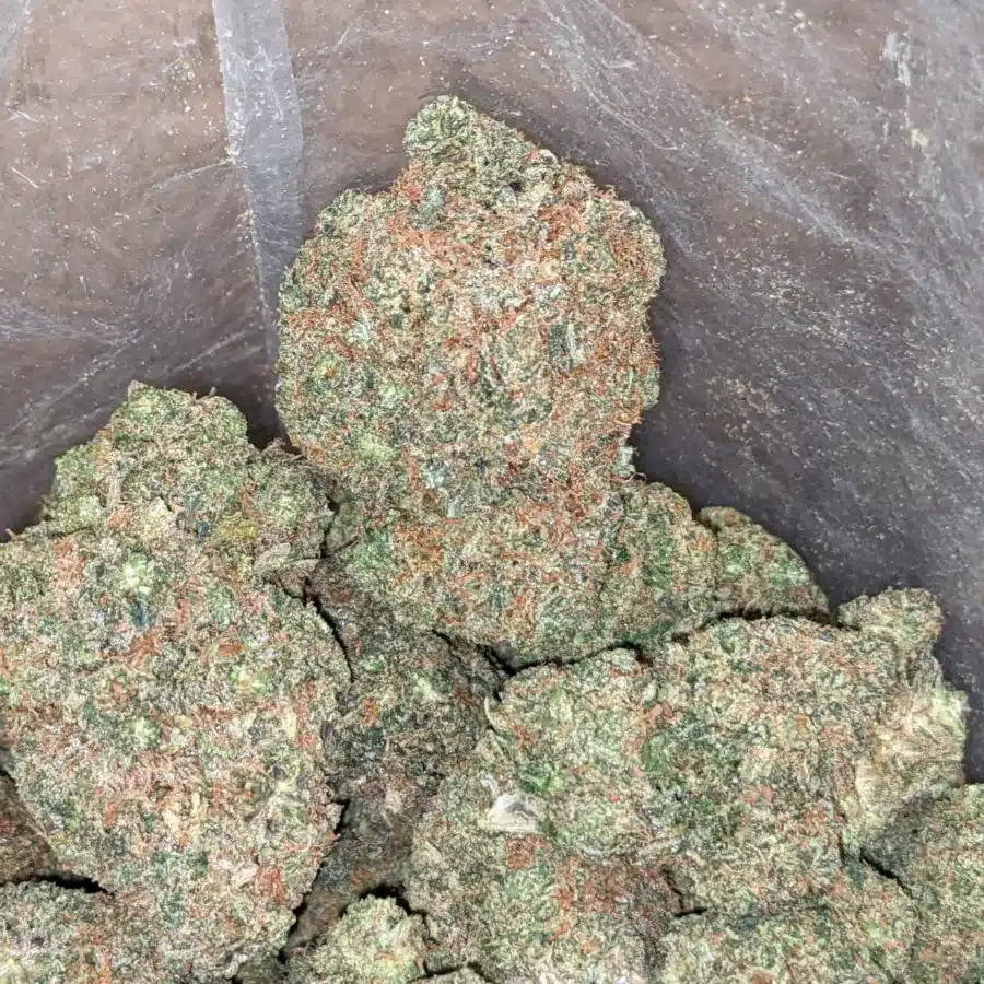 Gas Berry 4 I Gas Berry