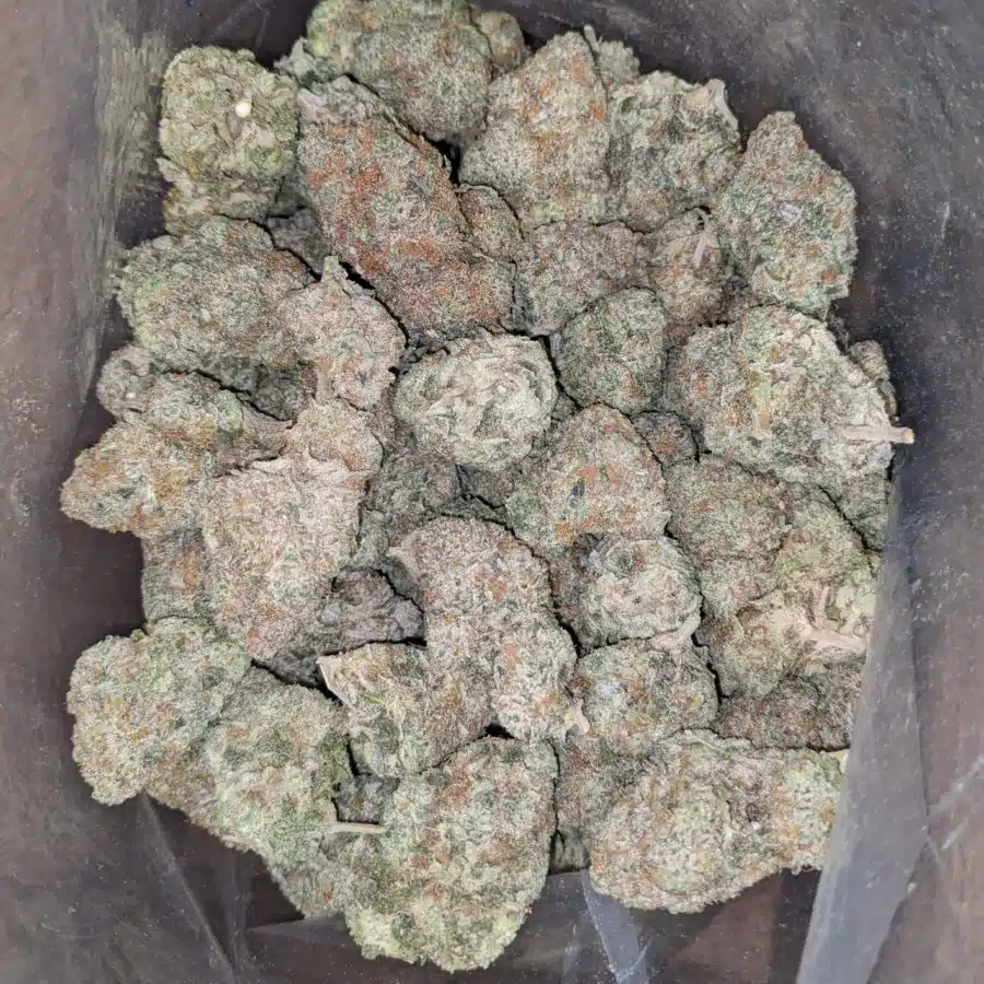 Gasberry 2 I $ 69 Oz - Gas Berry