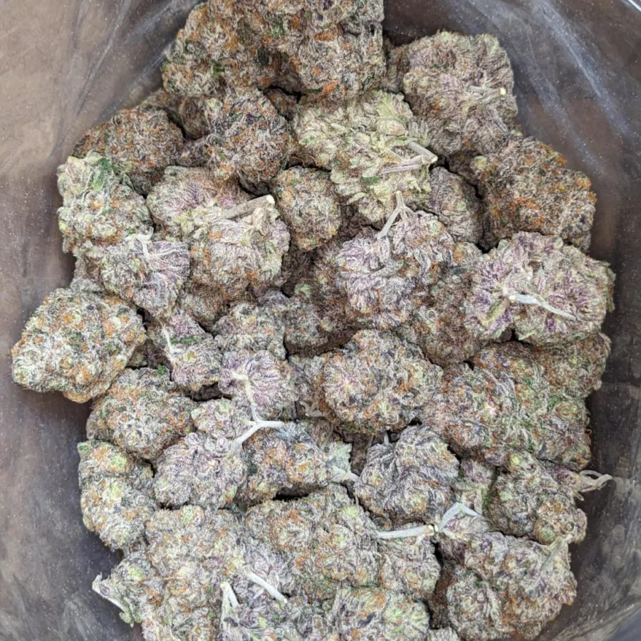 Alternative view of Gelato #33