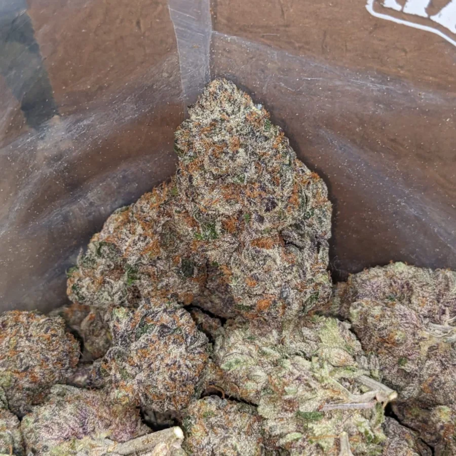 Gelato #33 - Image 4