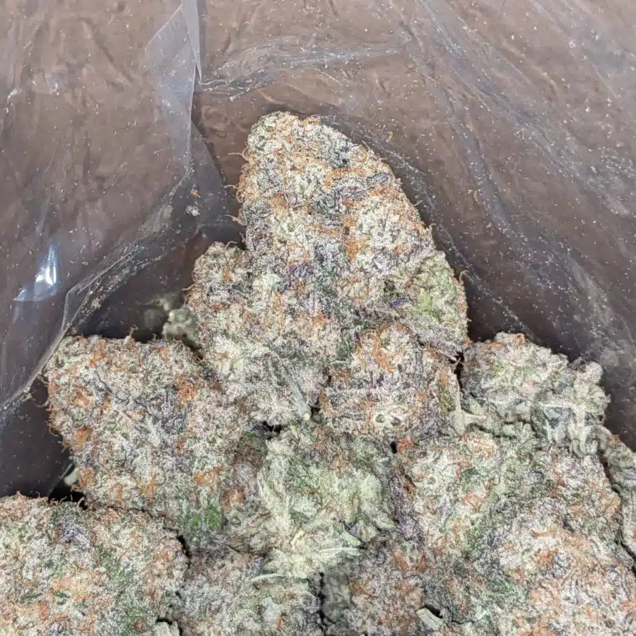 Gmo Cookies 1 1 I GMO Cookies