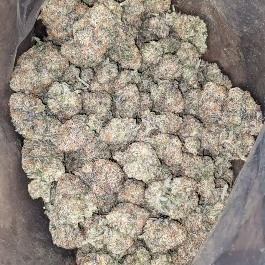 Gmo Cookies 2 1 I GMO Cookies