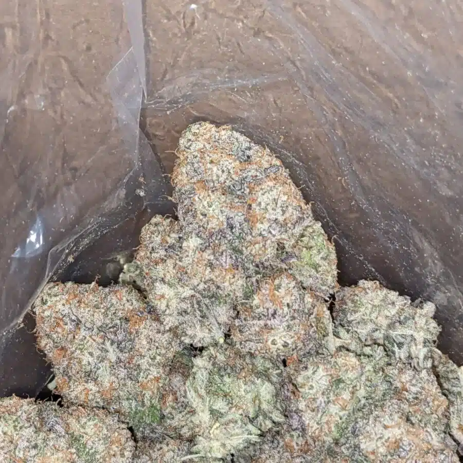 Gmo Cookies 4 I GMO Cookies