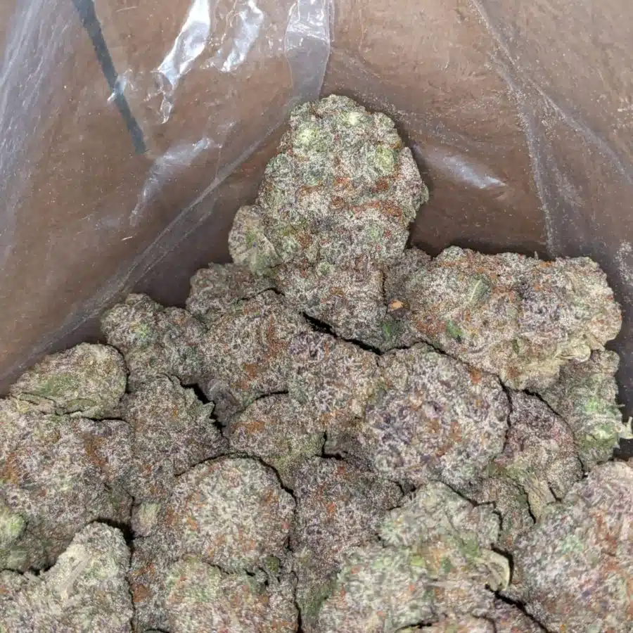 Gods Green Crack 1 1 I God's Green Crack