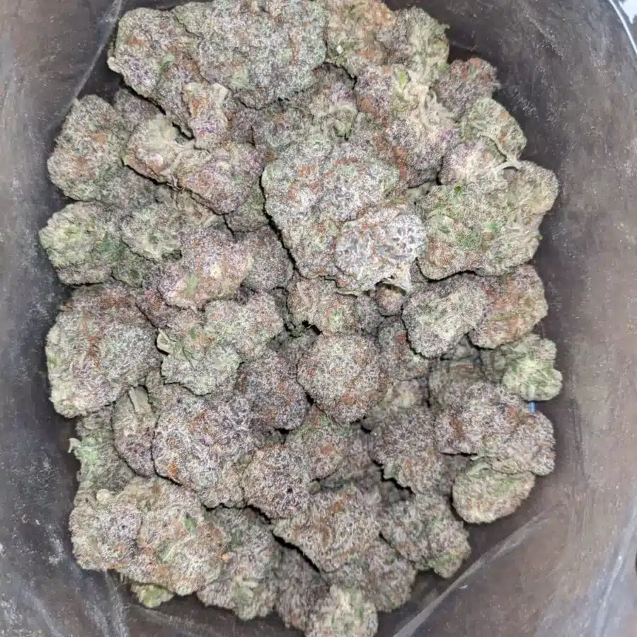 Gods Green Crack 2 1 I God's Green Crack