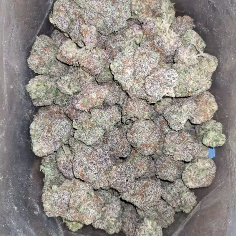 Gods Green Crack 4 I God's Green Crack