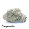 $ 63 Oz - Italian Ice