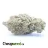 MAC10 x GMO Cookies #2
