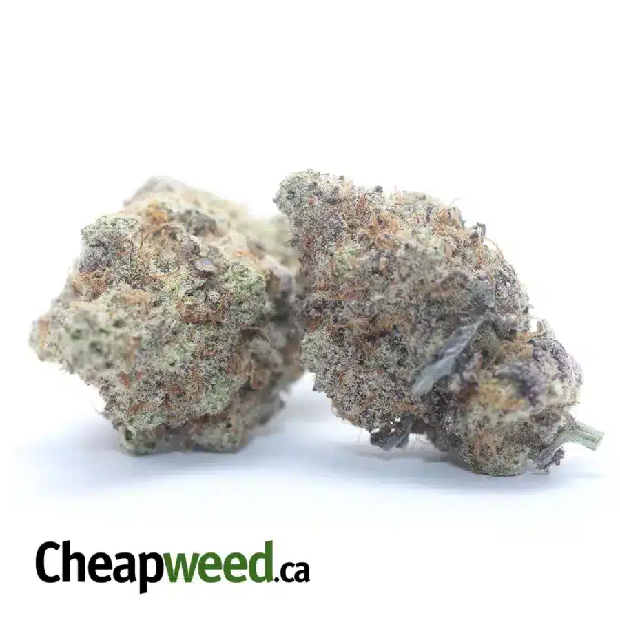 Alternative view of MAC10 x GMO Cookies #2