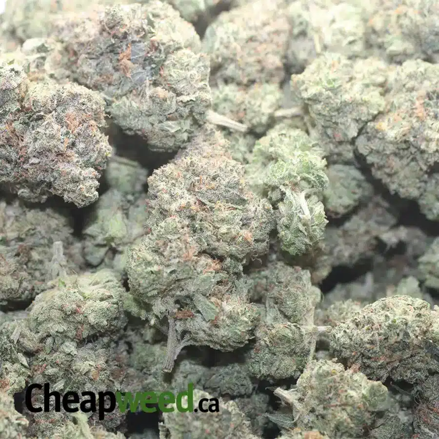 PINK GAS 1 I $ 84 Oz - Pink Gas