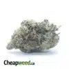 $ 84 Oz - Pink Gas