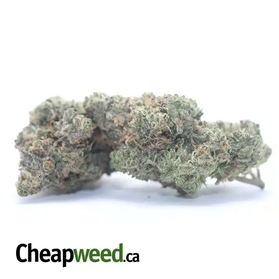 PINK GAS 3 I $ 84 Oz - Pink Gas