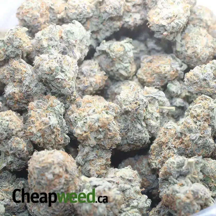 PLATNIUM BLACKBERRY 1 I $ 57 Oz - Platinum Blackberry