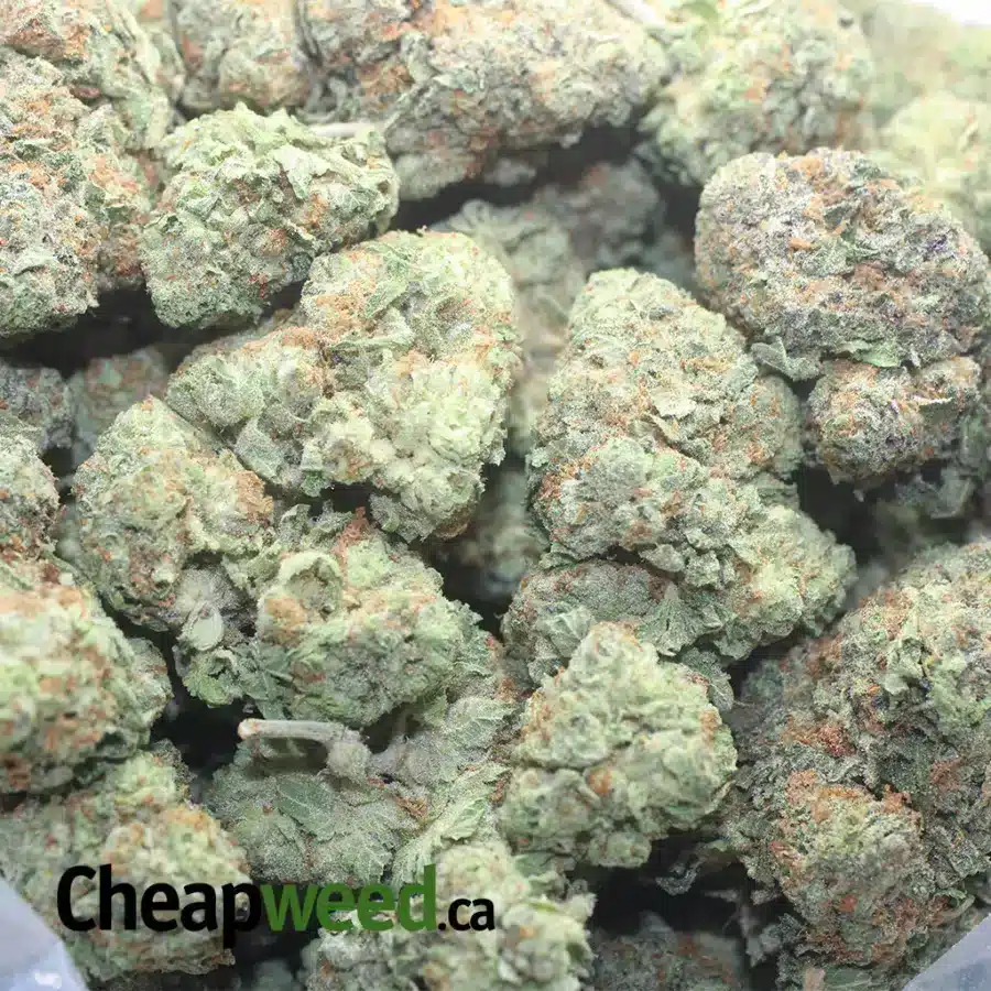 PRE 98 BUBBA KUSH 1 I $ 61 Oz - Pre 98 Bubba Kush
