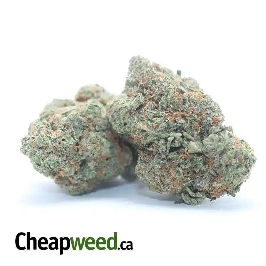 PRE 98 BUBBA KUSH 3 I $ 61 Oz - Pre 98 Bubba Kush