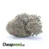 Pugs Breath