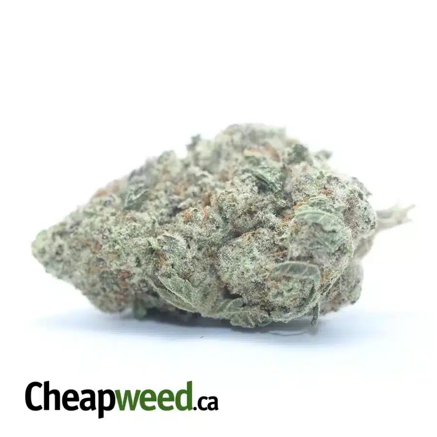 Purple Berry