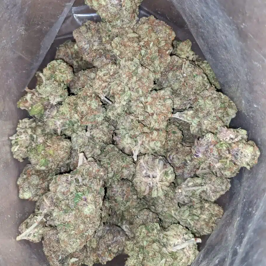 Pink Gas