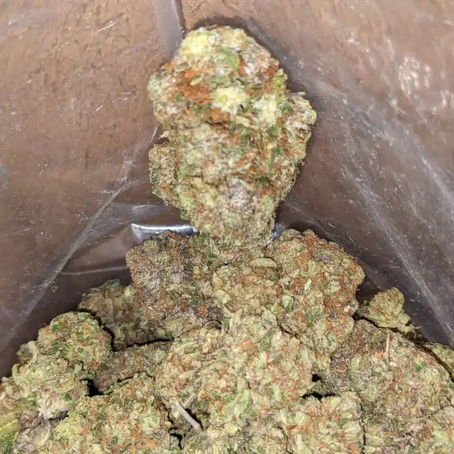 Alternative view of Pink Gas