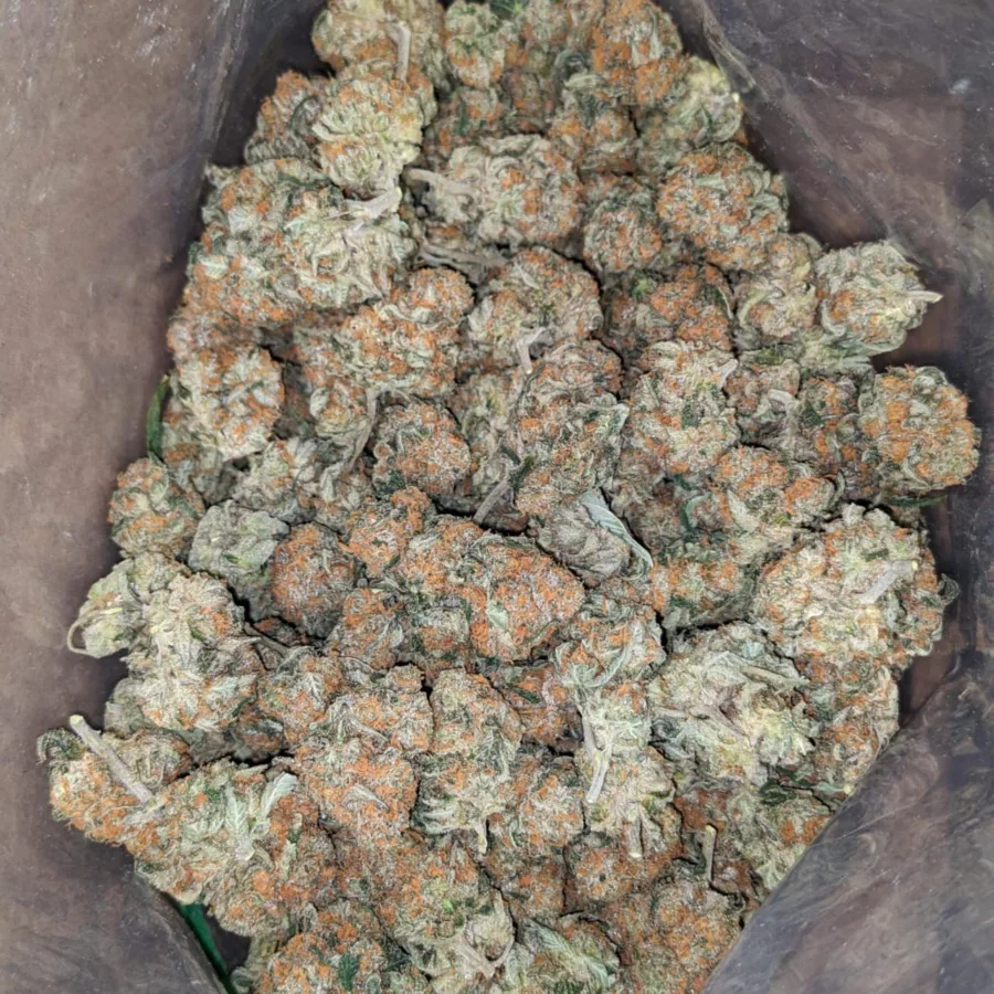 Alternative view of $47oz Pugs Breath