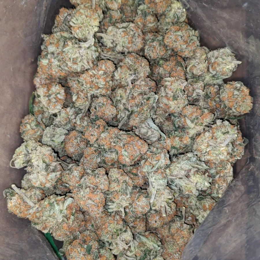 $47oz Pugs Breath