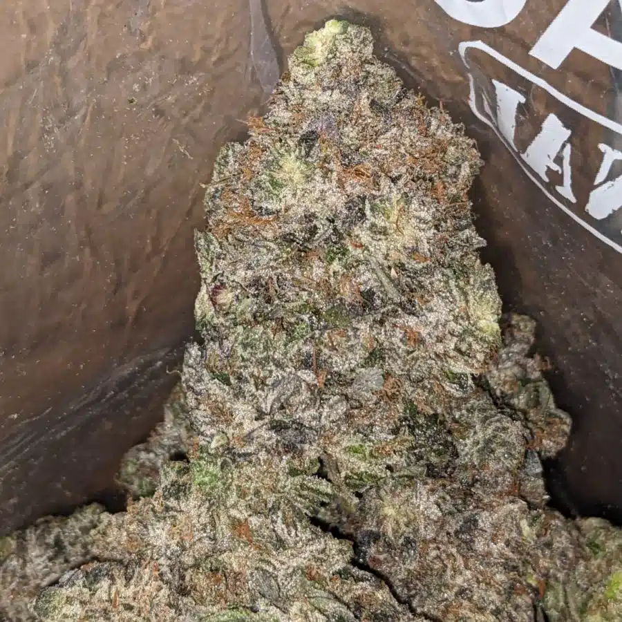 Purple Rockstar 1 1 I Purple Rockstar