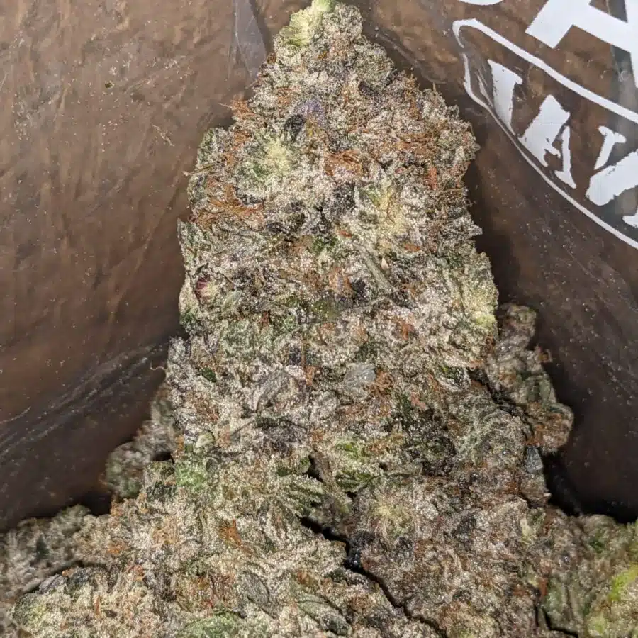 Purple Rockstar 3 1 I Purple Rockstar