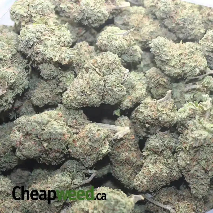 RUNTZ 1 I $ 56 Oz - Runtz