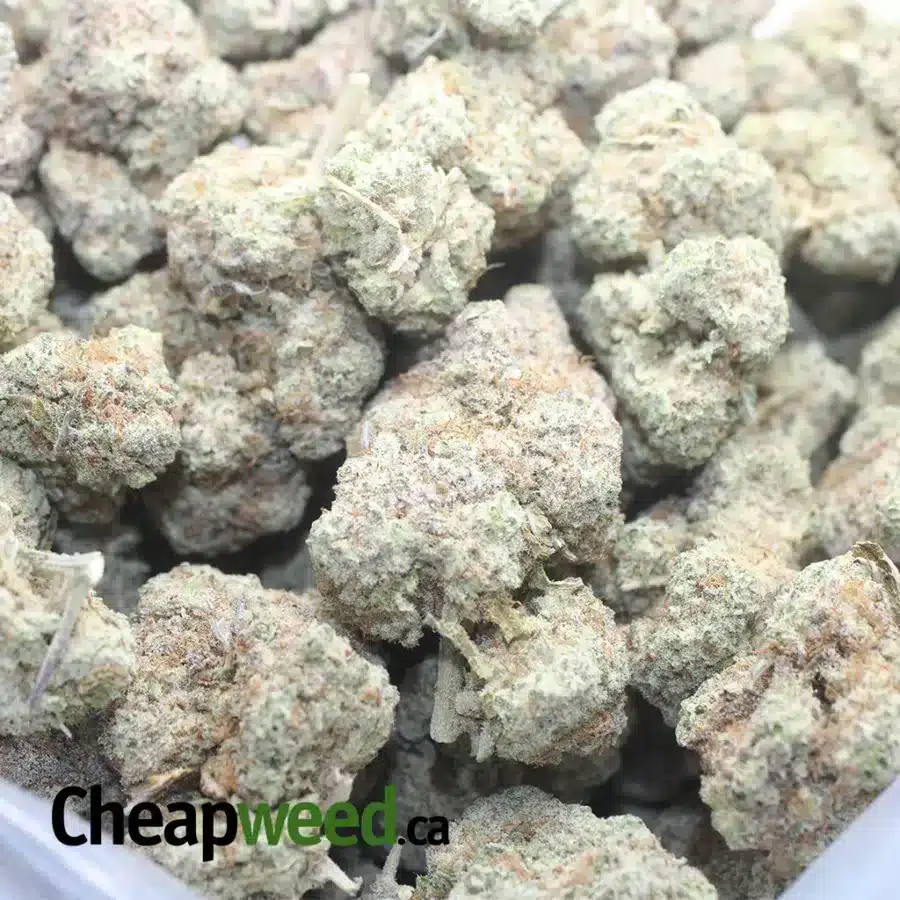 STARDAWG 1 I $ 57 Oz - Stardawg