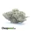 $ 71 Oz - Triangle Mints