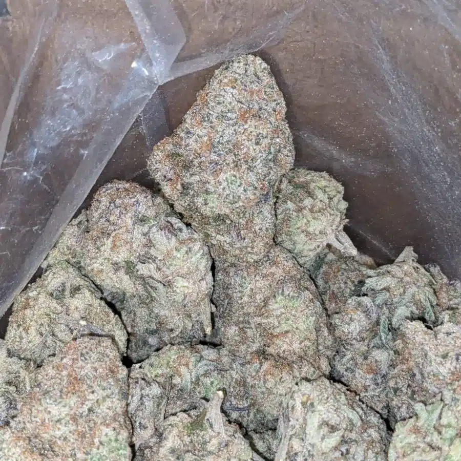Triangle mints 1 1 I $ 62 Oz - Triangle Mints