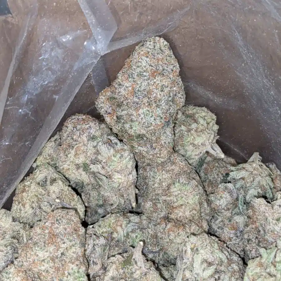 Triangle mints 4 I $ 62 Oz - Triangle Mints