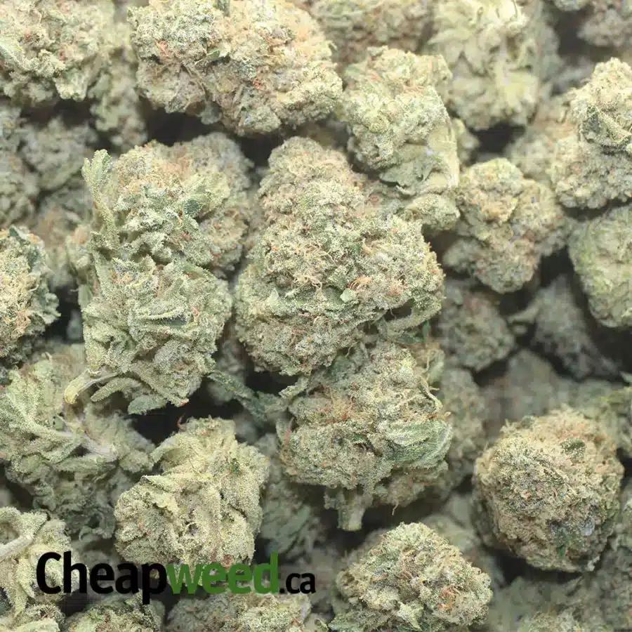 WHITE FIRE OG 1 I $ 59 Oz - White Fire Og