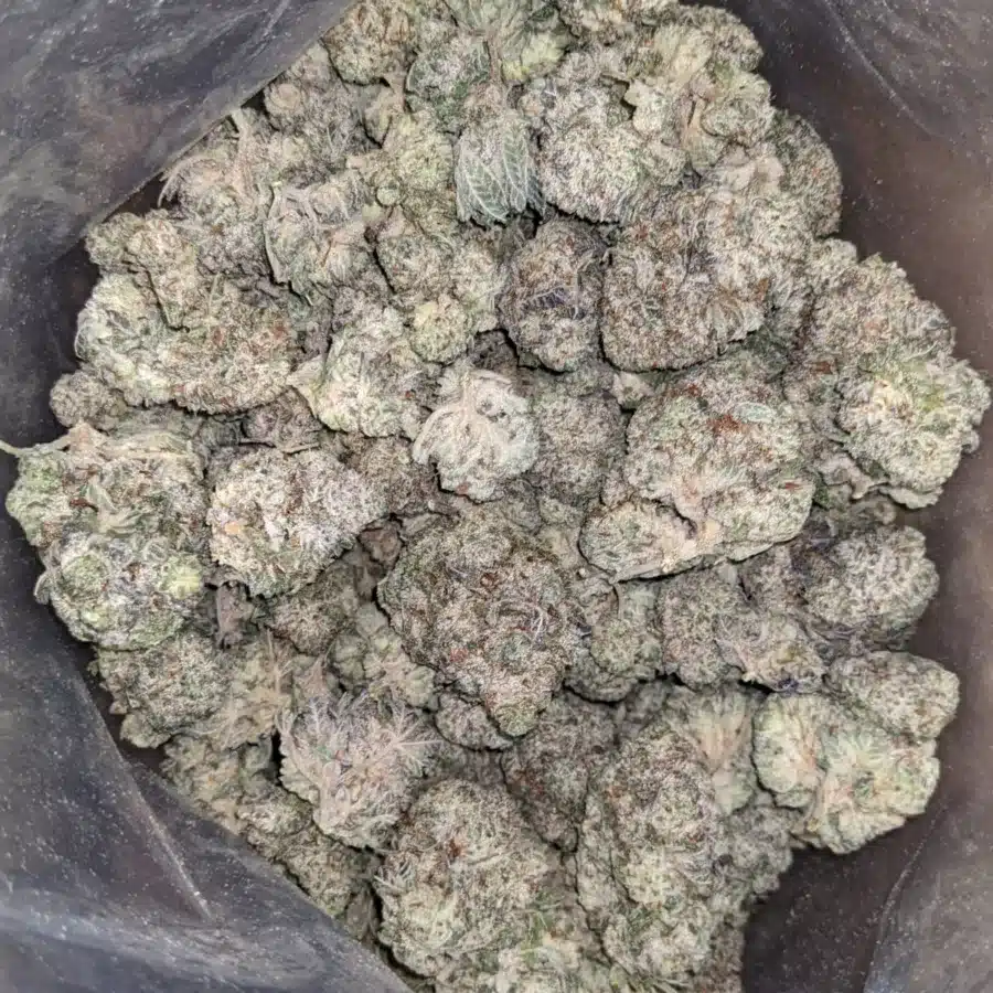 p 3 1 I $ 69 Oz - Pre Bubba Kush