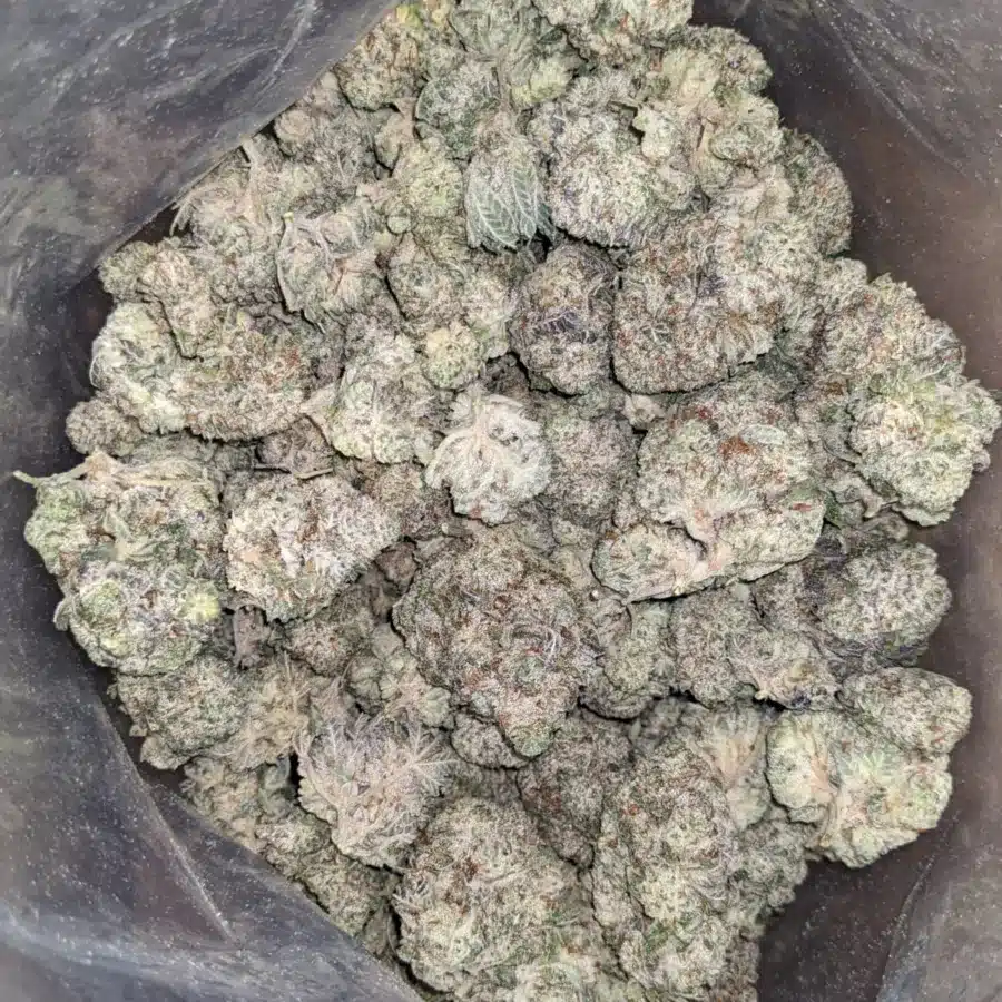 p 4 1 I $ 69 Oz - Pre Bubba Kush