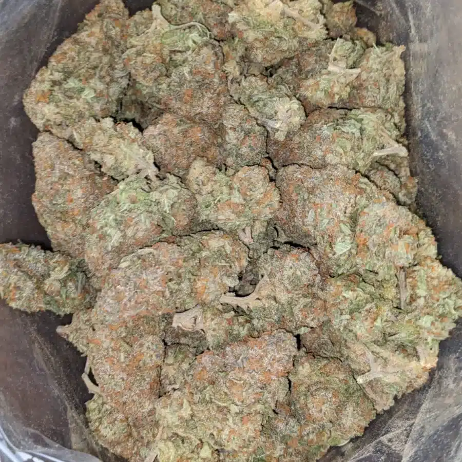 Alaskan Thunderfuck 47 Oz ATF 1 I $47oz Alaskan Thunderfuck