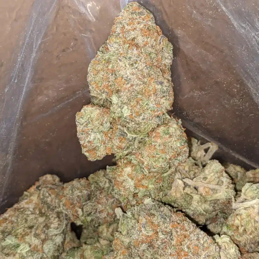Alaskan Thunderfuck 47 Oz ATF 4 I $47oz Alaskan Thunderfuck