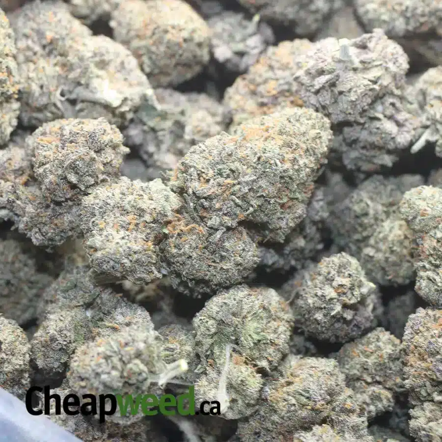 BLACK RUNTZ 1 I $ 60 Oz - Black Runtz