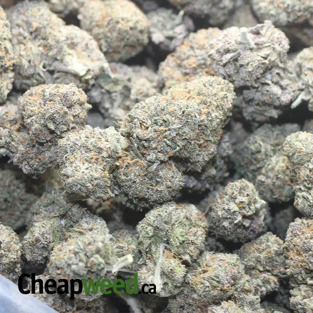 $ 60 Oz - Black Runtz - Image 3