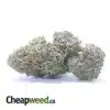 $ 60 Oz - Black Runtz