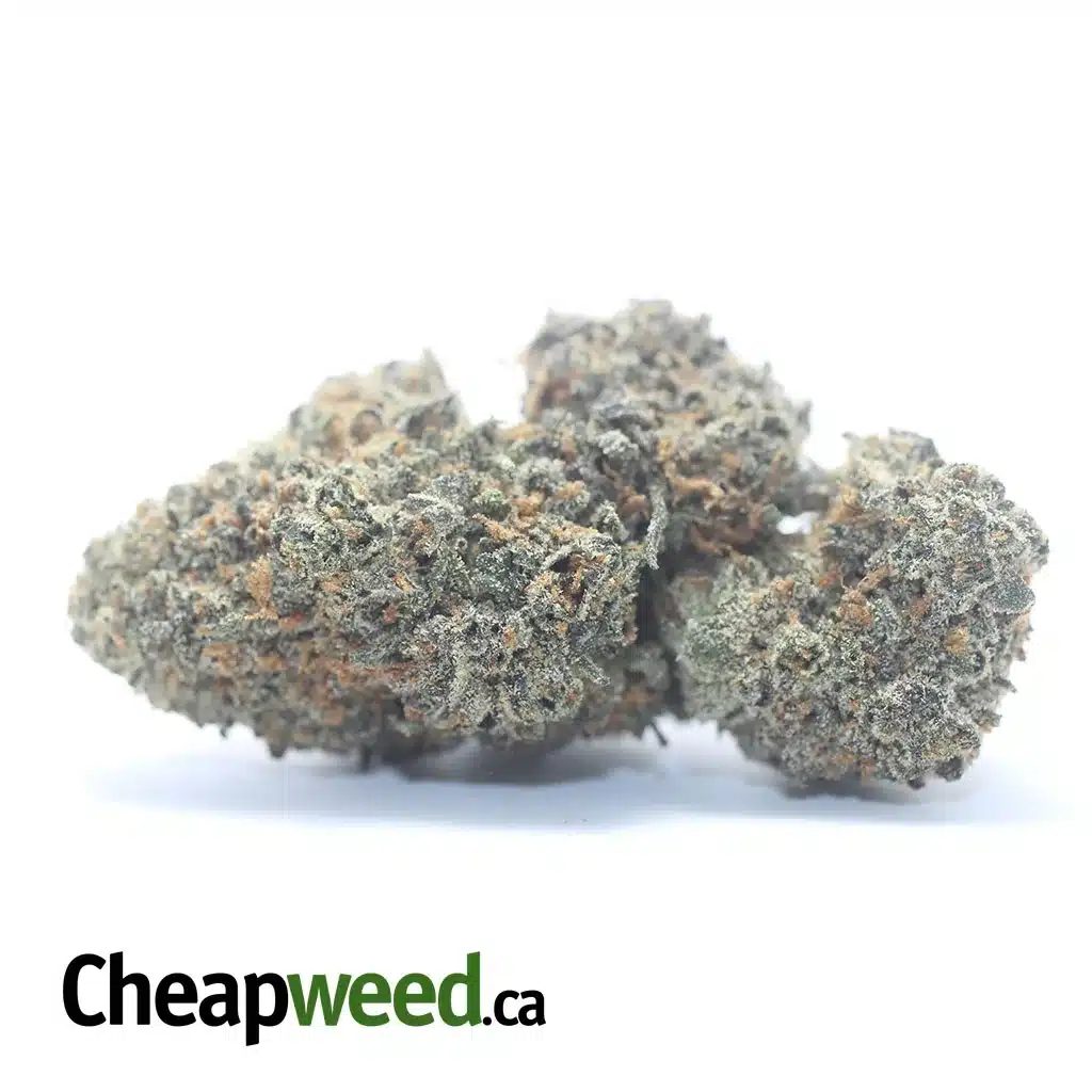 $ 60 Oz - Black Runtz
