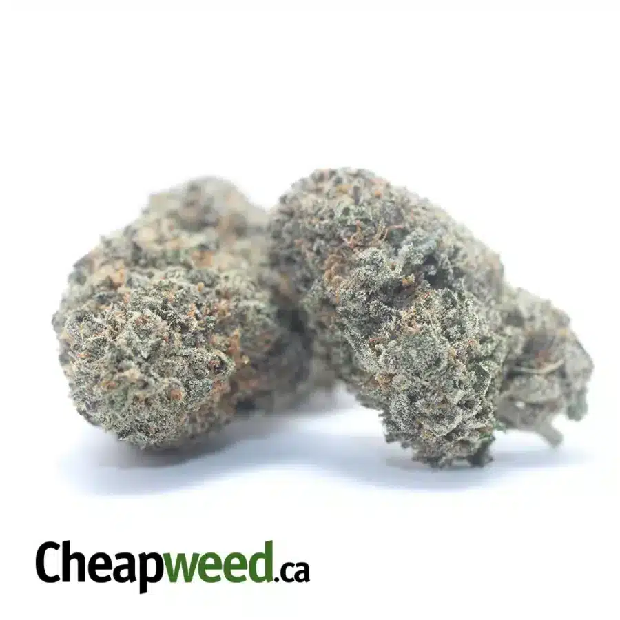 BLACK RUNTZ 3 I $ 60 Oz - Black Runtz