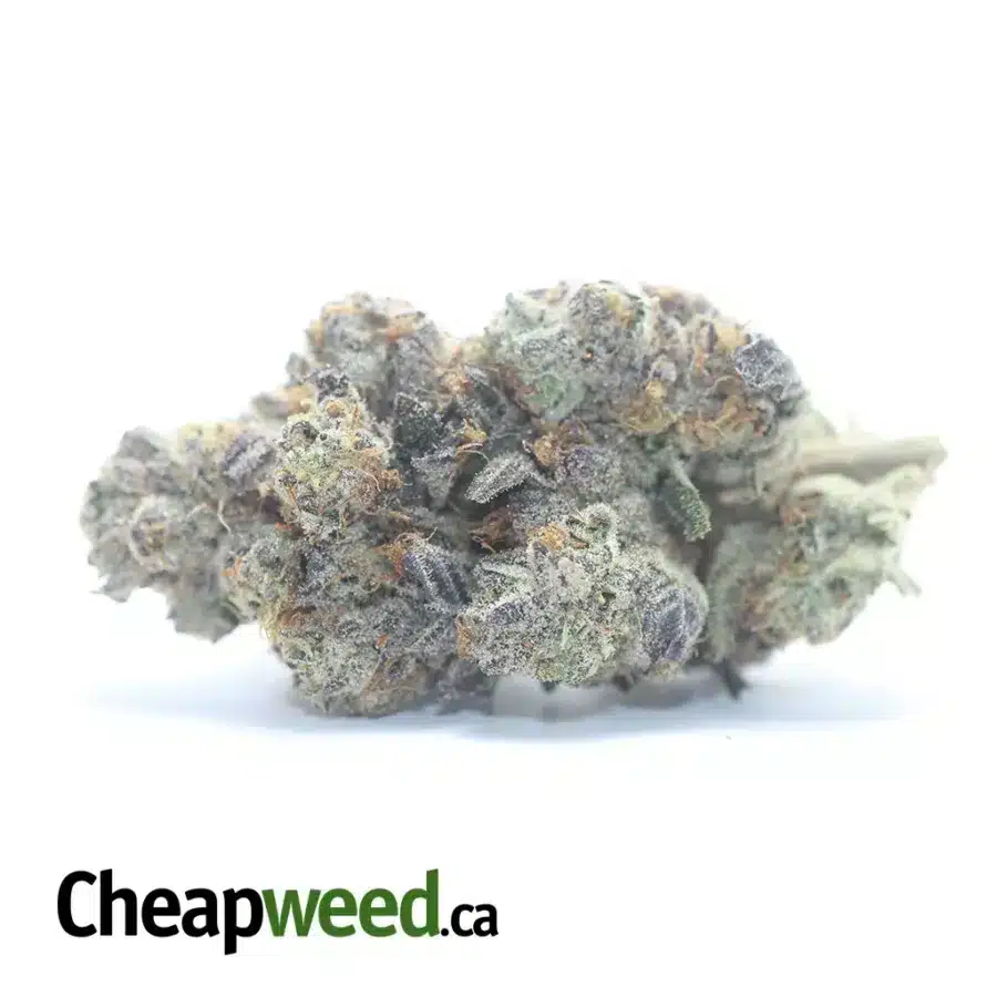 Blueberry YumYum