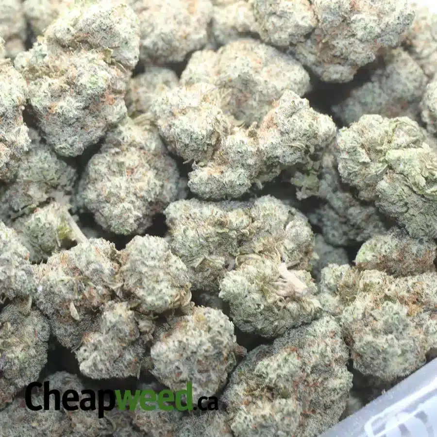 BUTTER BREATH 1 1 I Butter Breath