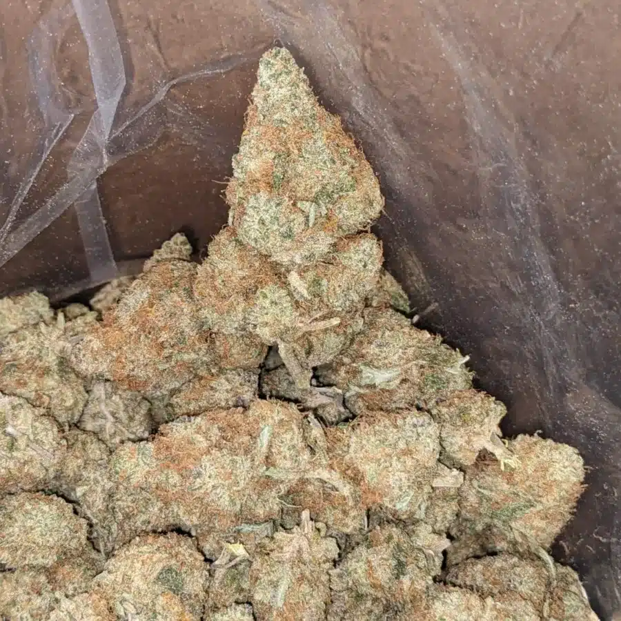 Berry bomb 2 1 I Berry Bomb