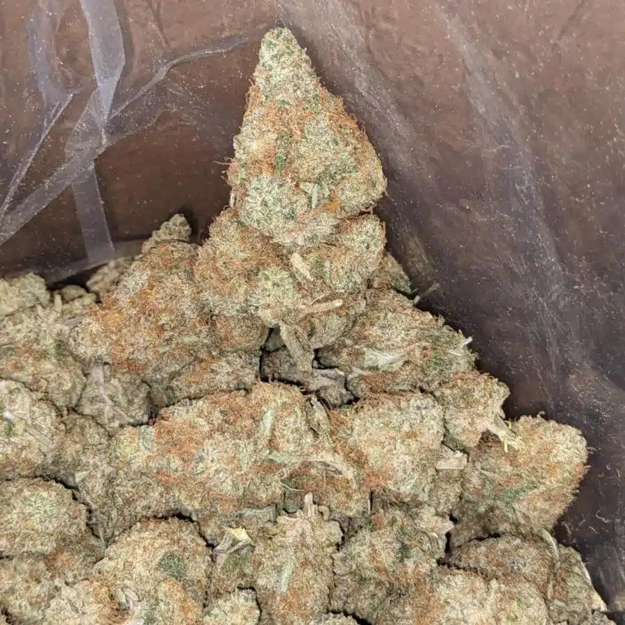 Berry bomb 3 1 I Berry Bomb