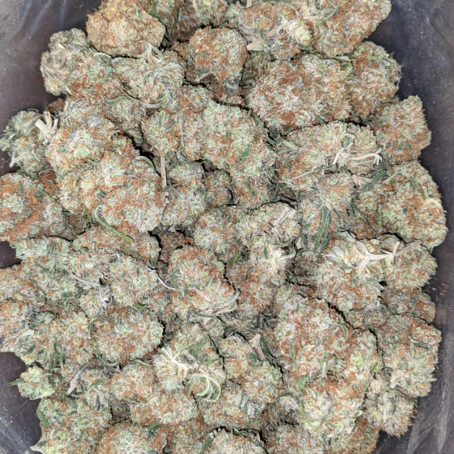 Black Cherry Gelato