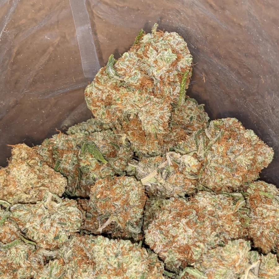 Alternative view of Black Cherry Gelato