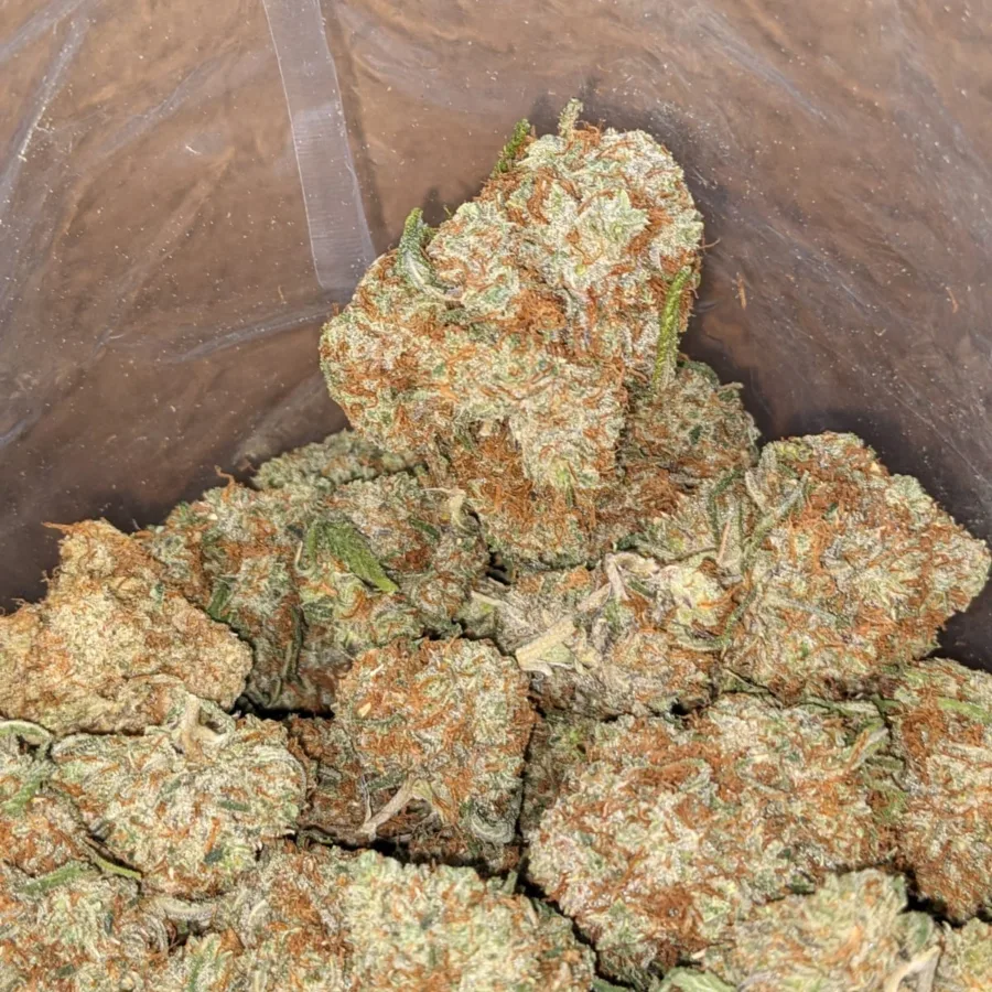 Black Cherry Gelato - Image 5