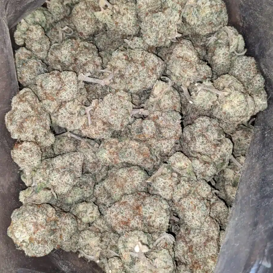 Boston cream 1 1 I $ 50 Oz - Boston Cream